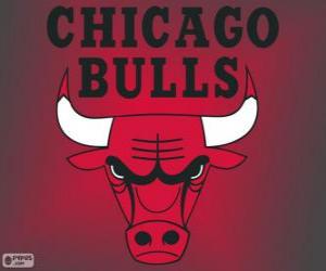 пазл Логотип Чикаго Буллз, НБА команды. Центральный дивизион, Восточная конференция